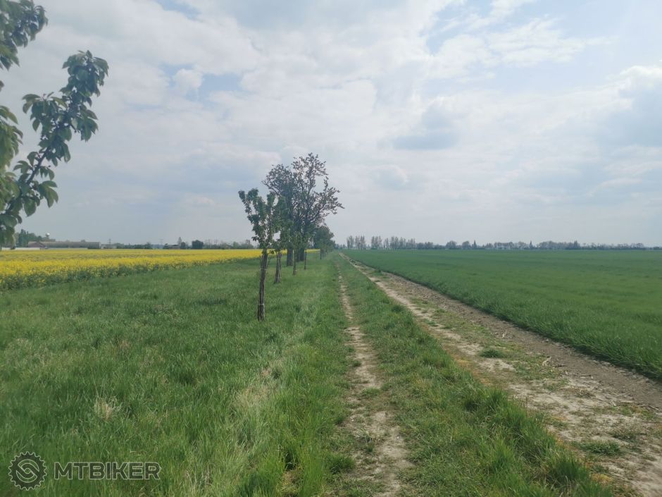 FOTO 20220430 (7).jpg