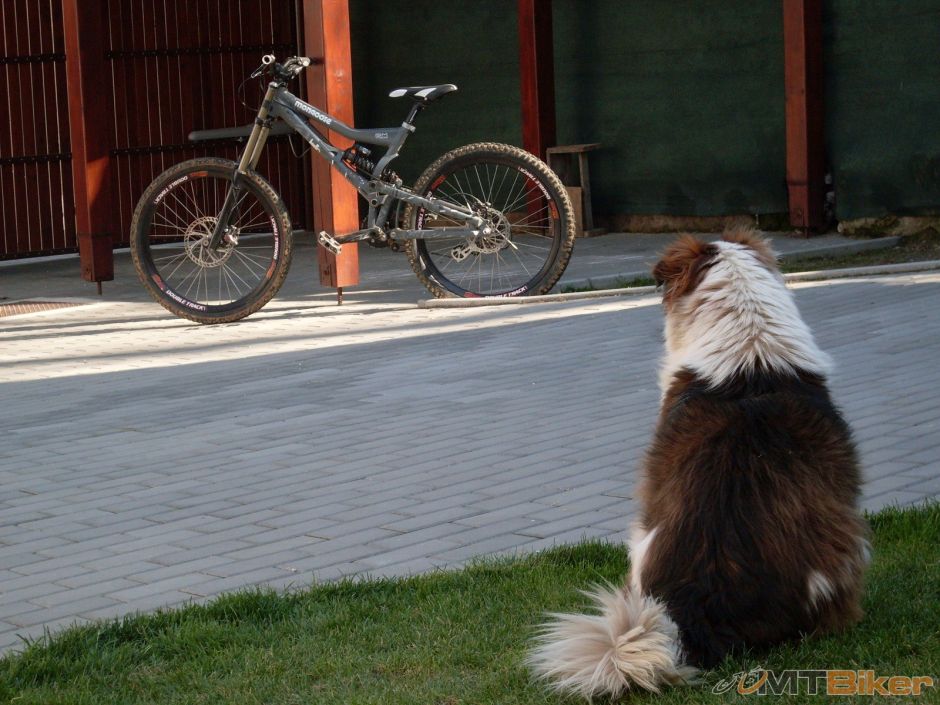 SDC11149 – kopie.JPG