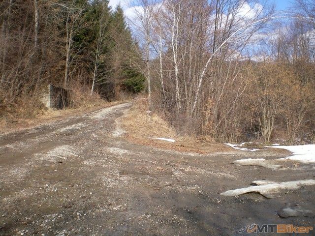 31.tu sa to rozdvojovalo horna ma oranzovu znacku na strome..otocil som to spat.jpg