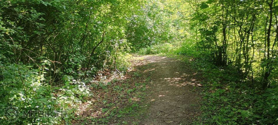 plesivec-gombasek hubarska c..jpg