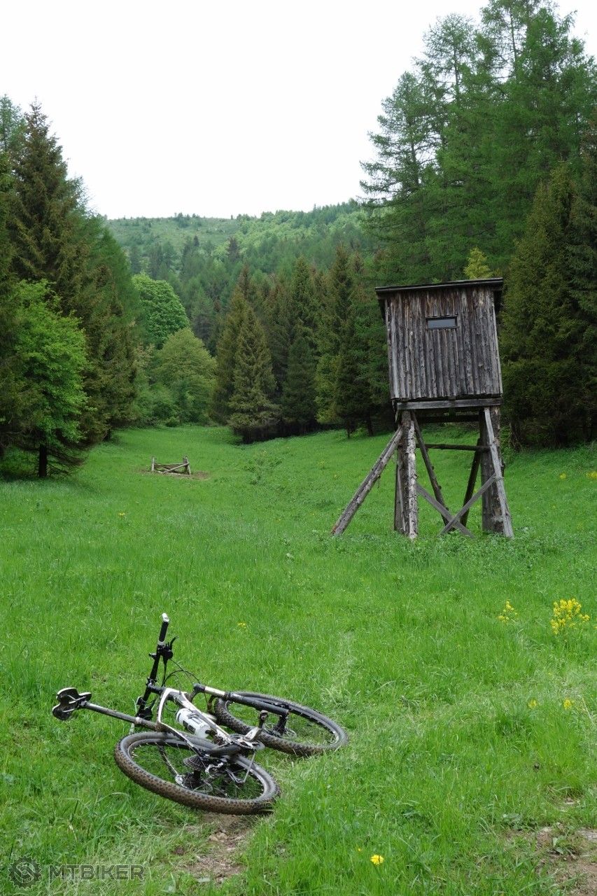 DSC00394 (853x1280).jpg