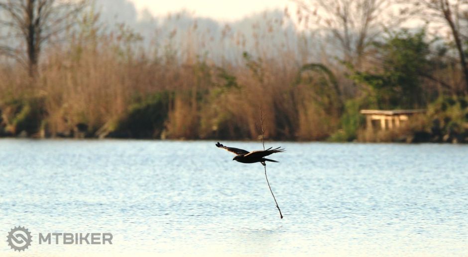 IMG_3280 - kópia.JPG