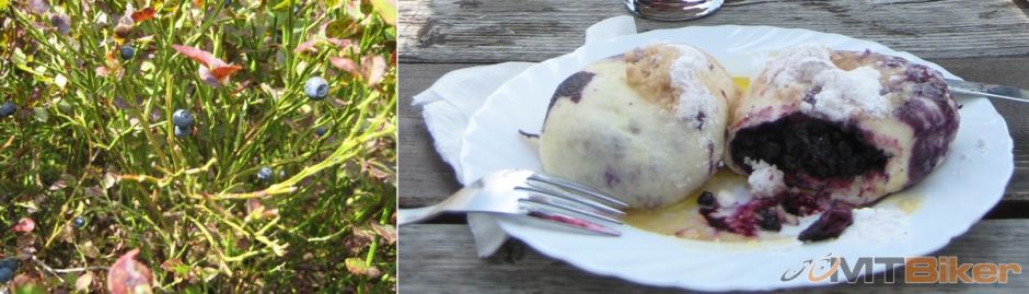 cucoriedkove sny.jpg