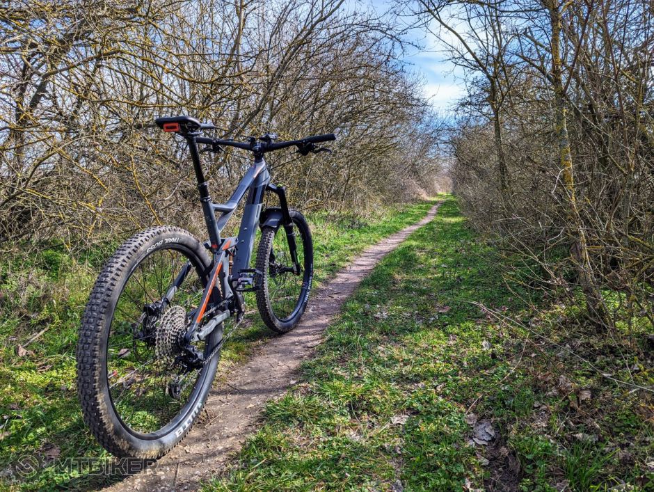 PXL_20230312_090805496.MP (1).jpg