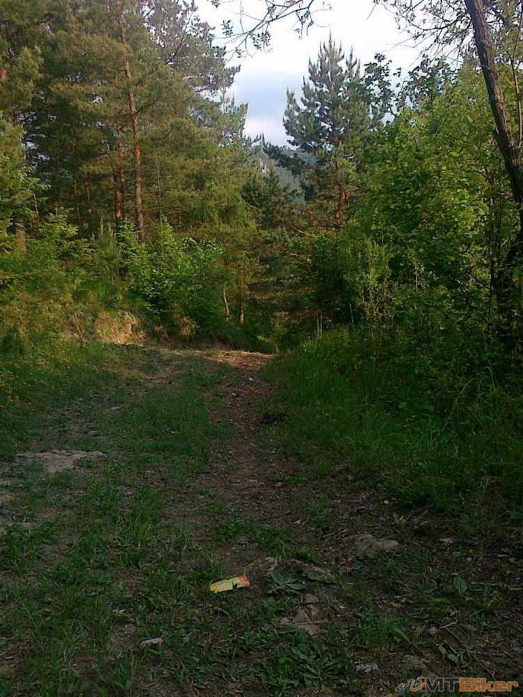 cistenie maj 008.jpg