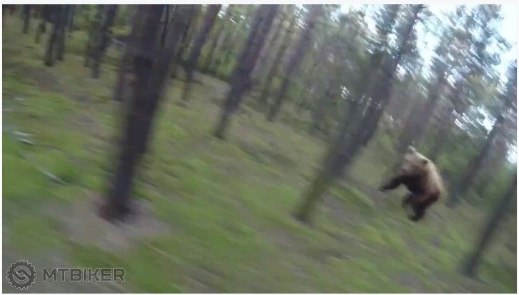 medvedia nahanacka.jpg