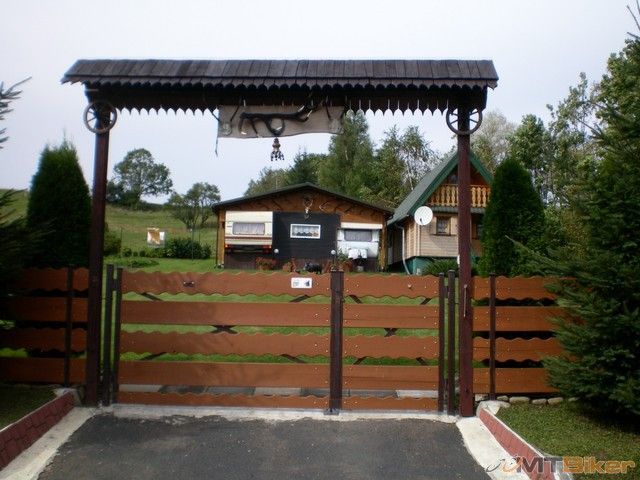 23.diviak na dvore.jpg