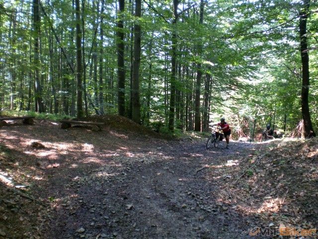 podme podme poobede hlasia dazd..jpg