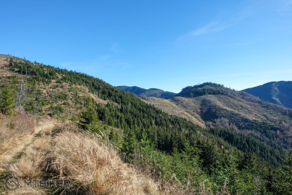 20201108_11-40-00_1-500 sec at f - 5,6_ISO 200_24 mm_DSCF2339.jpg