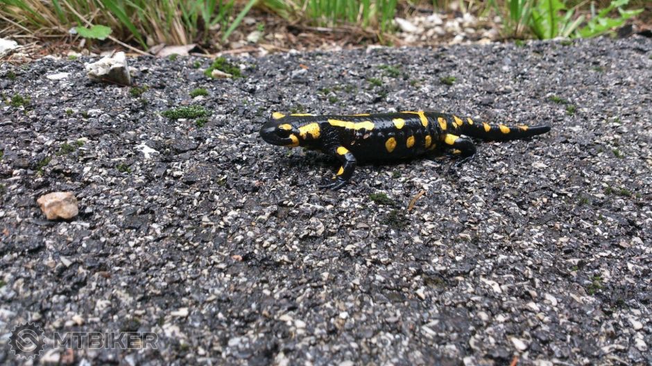 Kopie - 20140913_2.JPG