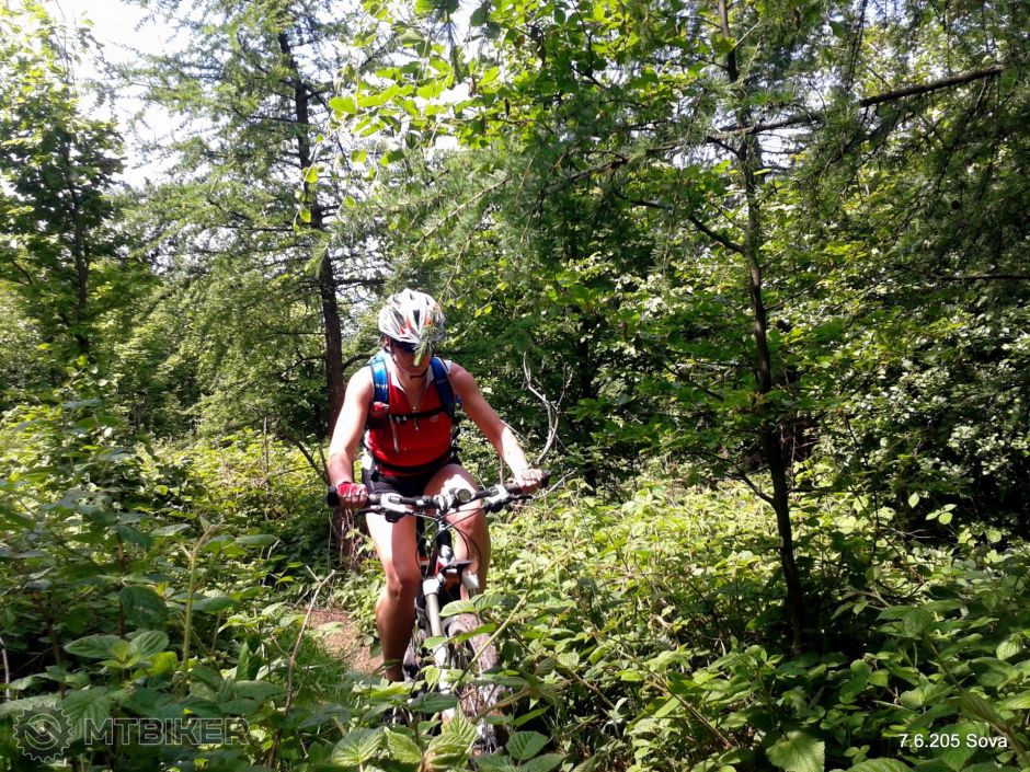 1-2015-06-07 12.12.09.jpg