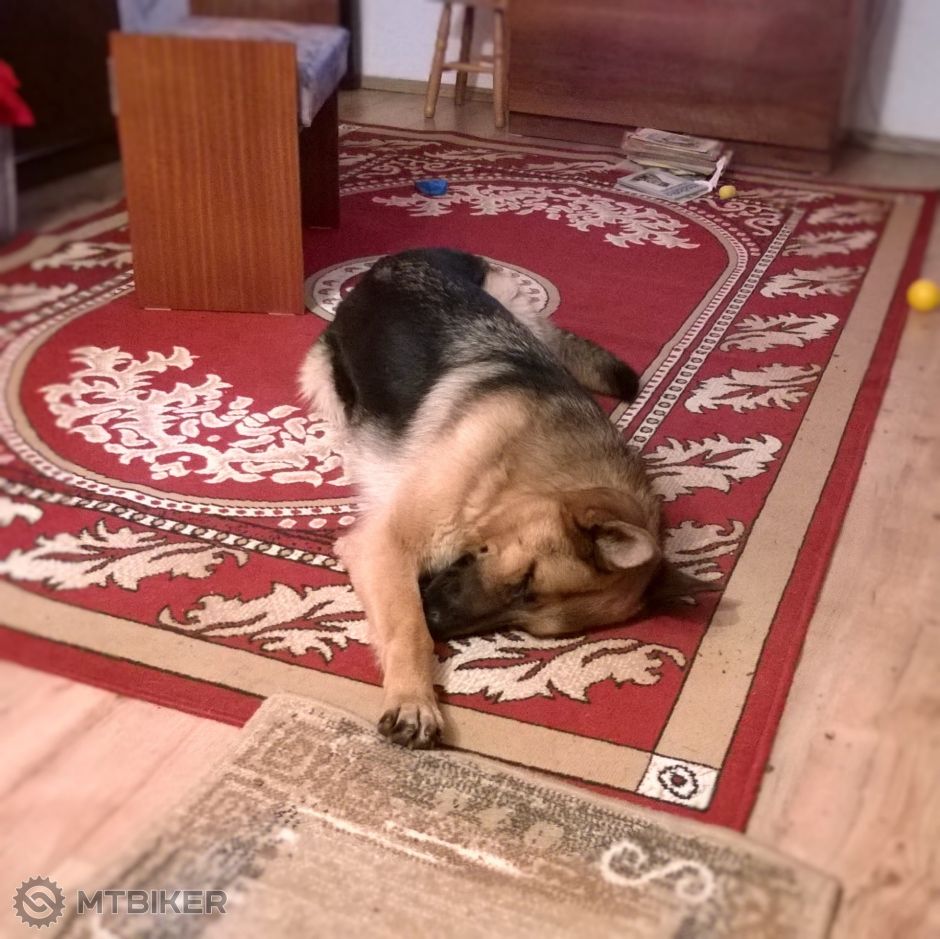 WP_20160123_006 (2).jpg