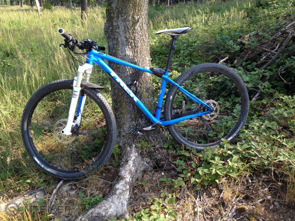 IMG_3126 (Large).JPG