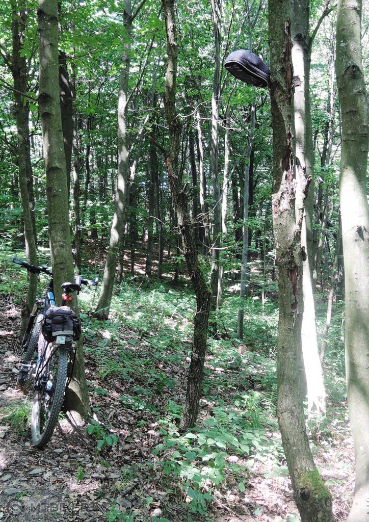 _lajoska2_jul17 191.JPG