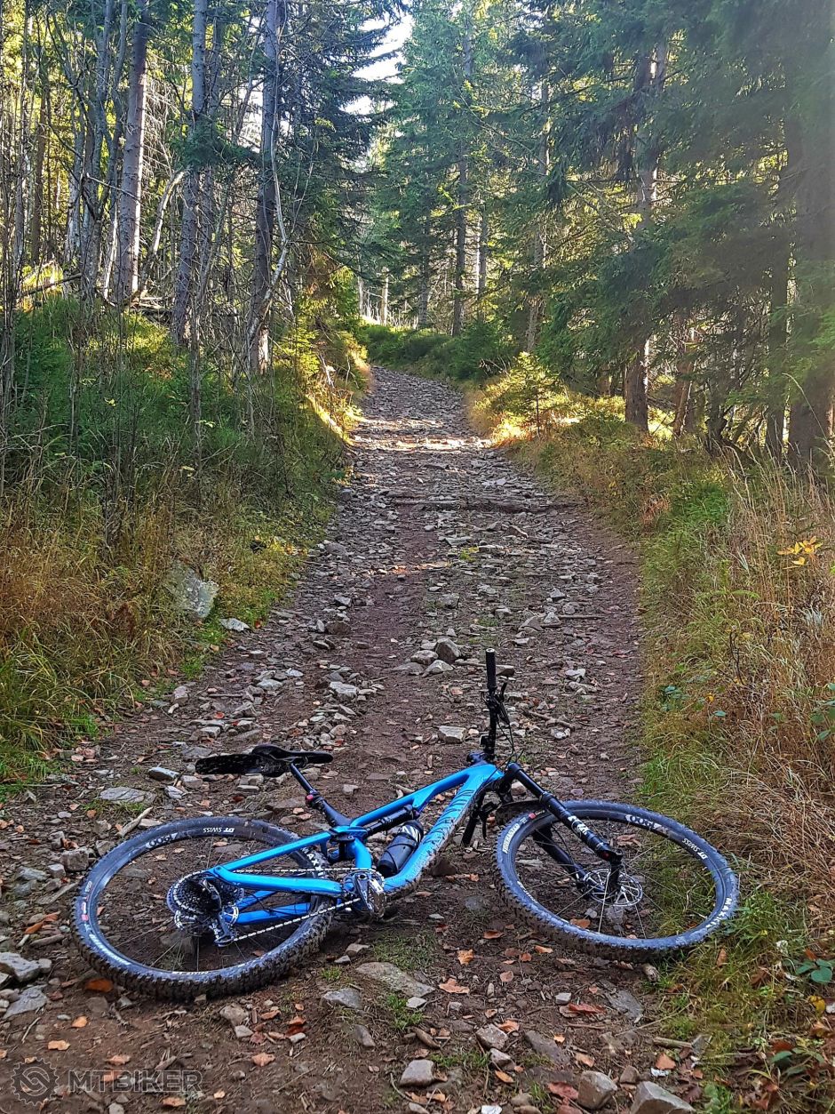 20191026_172022 (2).jpg