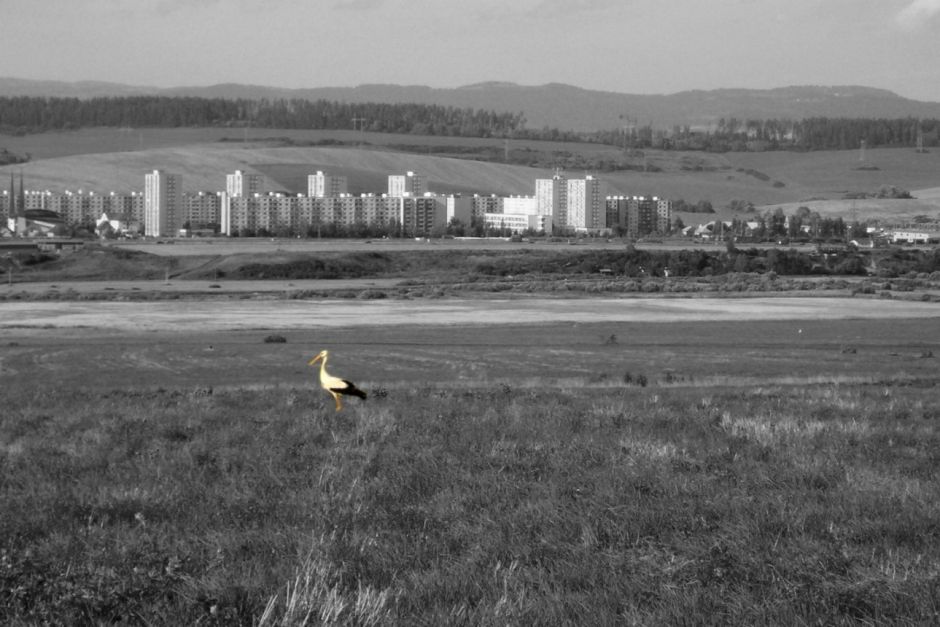 Kopie - HPIM5668_4.jpg