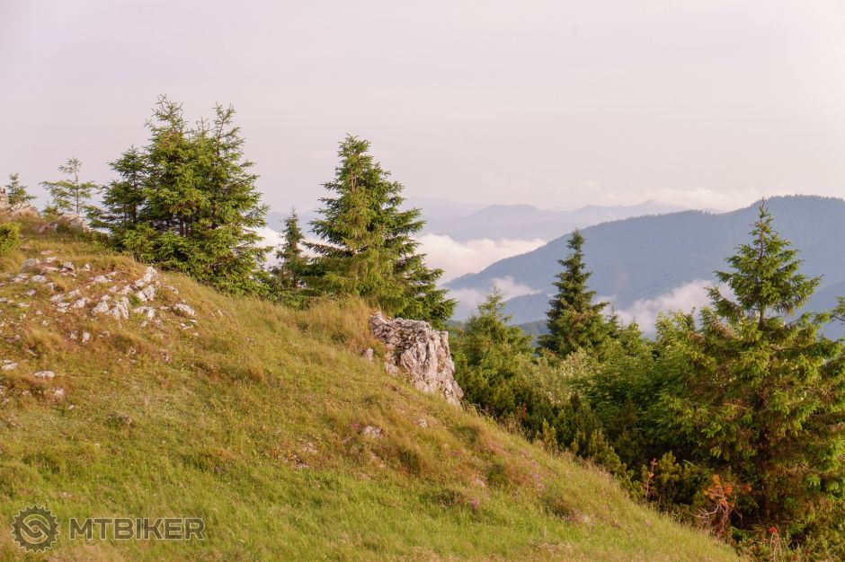 20190622_06-44-47_1-300 sec at f - 5,6_ISO 200_75 mm_DSCF8300.jpg