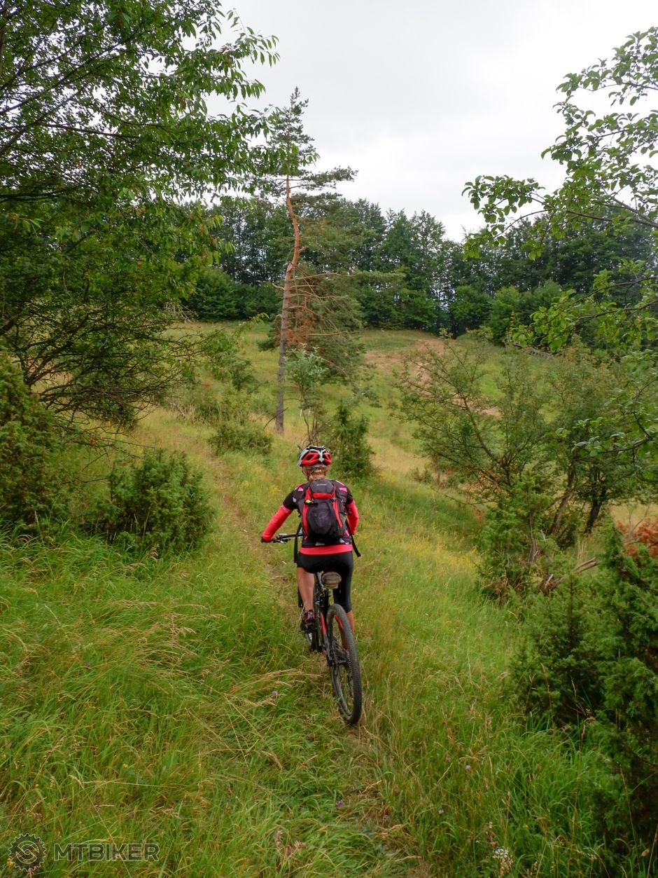 20190723_12-09-09_1-480 sec at f - 5,6_ISO 400_24 mm_STRV5242.jpg