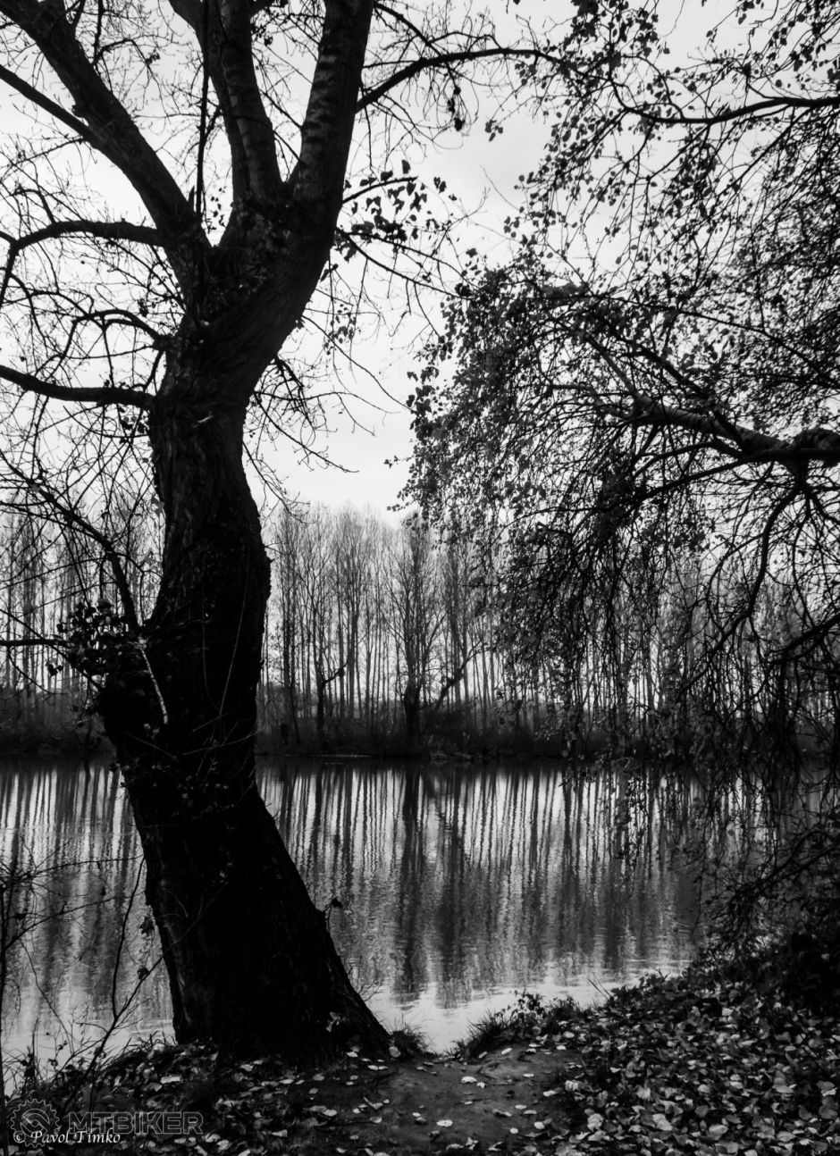 Malý Dunaj Potôň 003.jpg