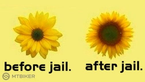 MicrosoftTeams-image (20).jpg