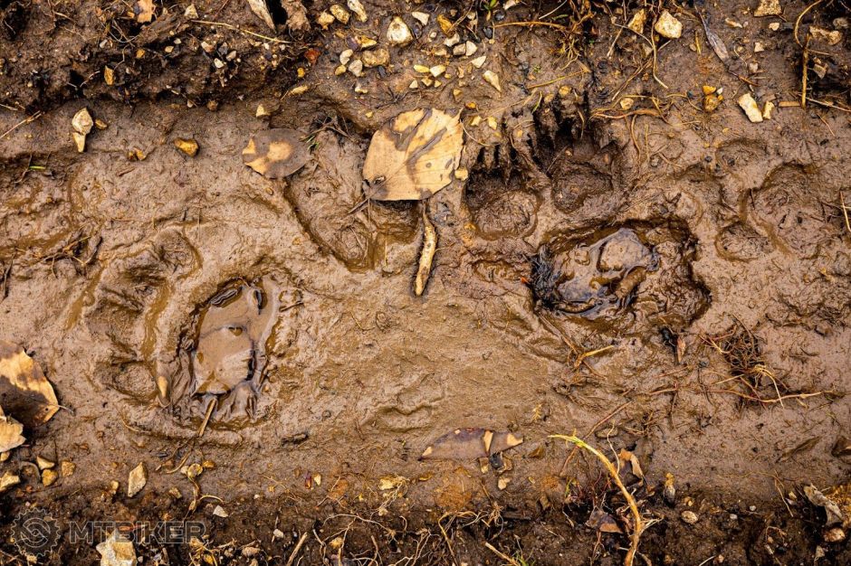 Klenovský Vepor 24.-25.04.2021 (25).jpg