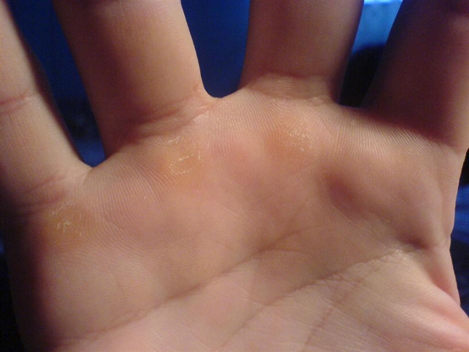 DSC01113 (Large).JPG