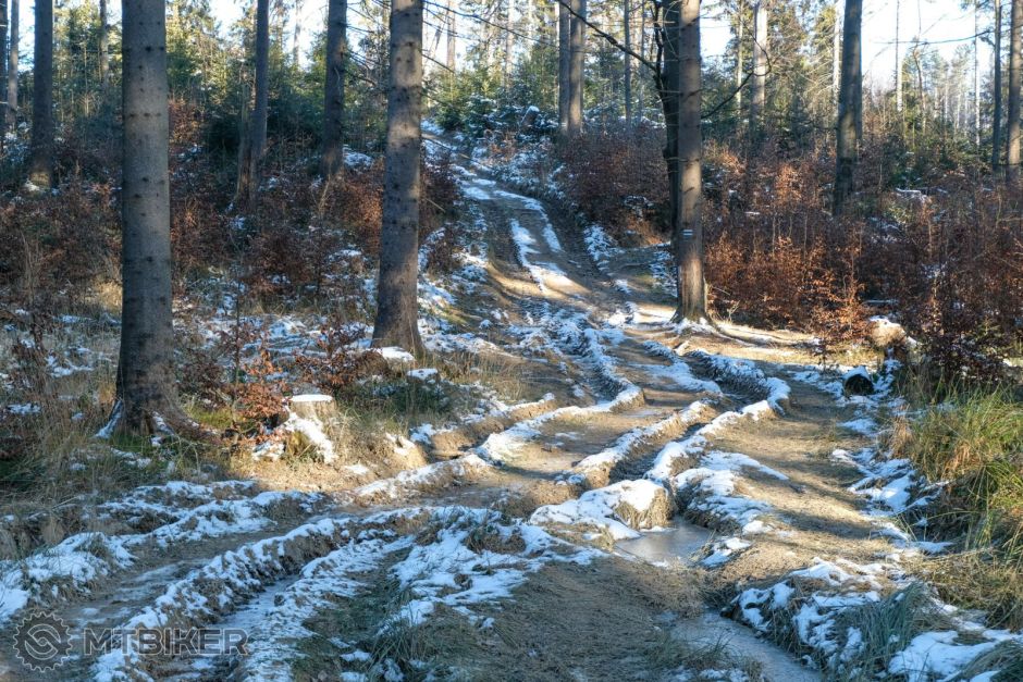 20221201_10-42-47_1-200s_F5,6_ISO 500_63_1261.jpg