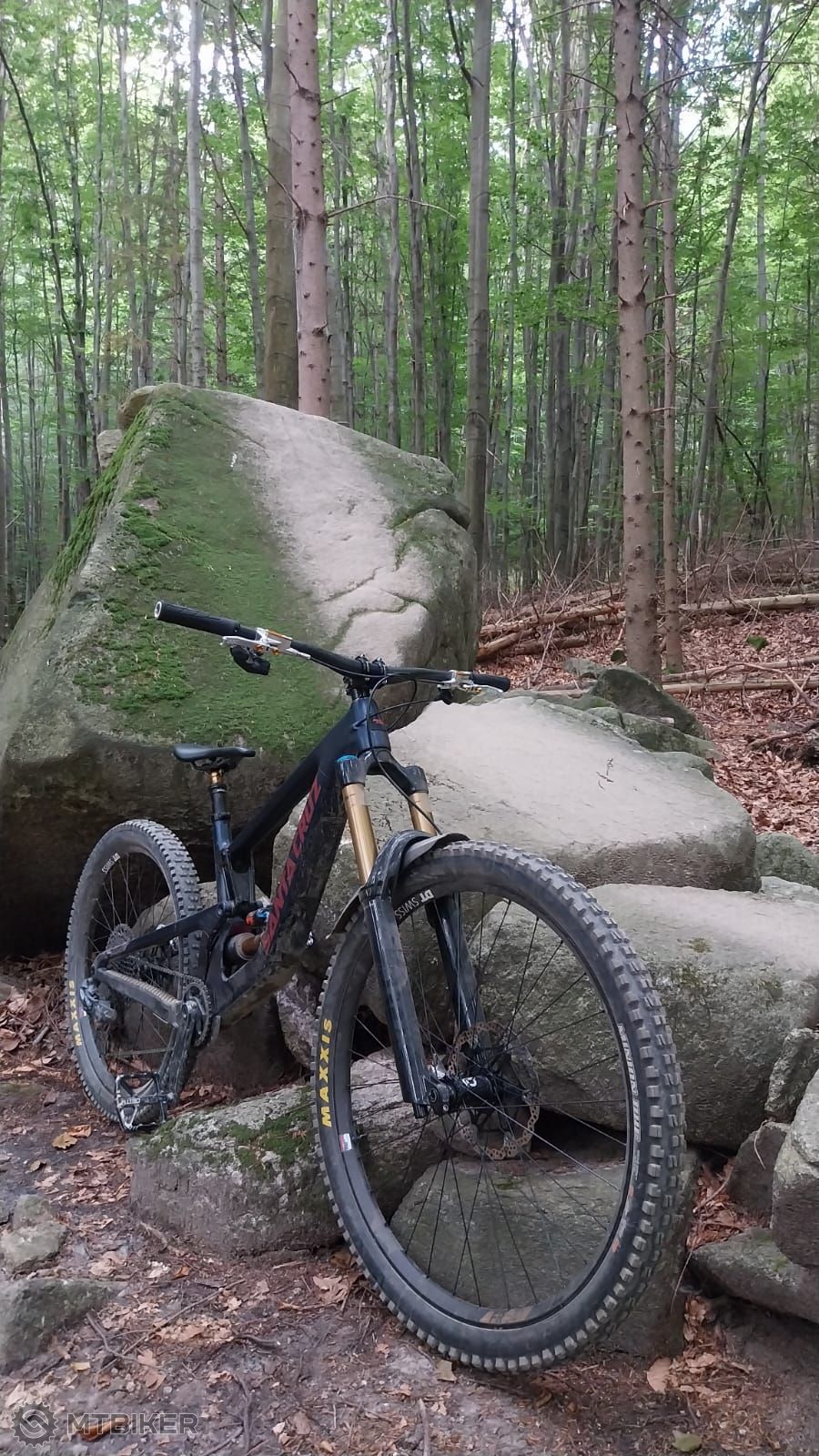 WhatsApp Image 2025-09-02 at 11.56.08.jpeg