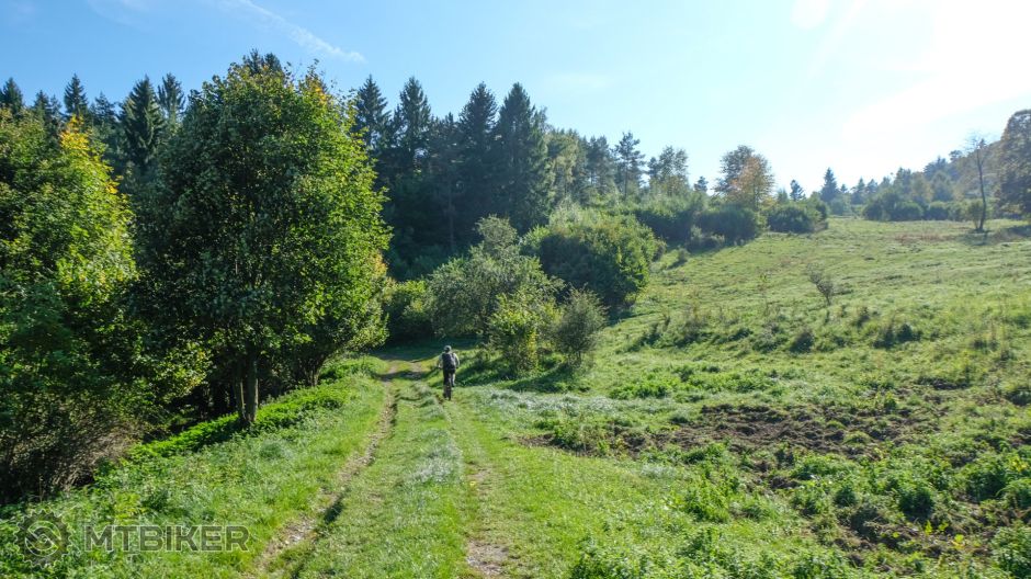 20211003_14-38-57_1-500s_F5,6_ISO 200_24_3467.jpg