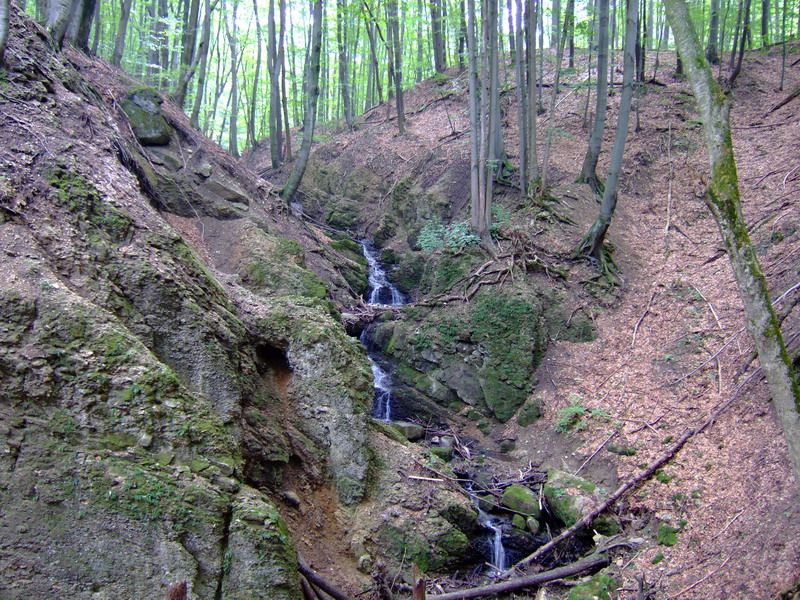 naucny chodnik09.JPG