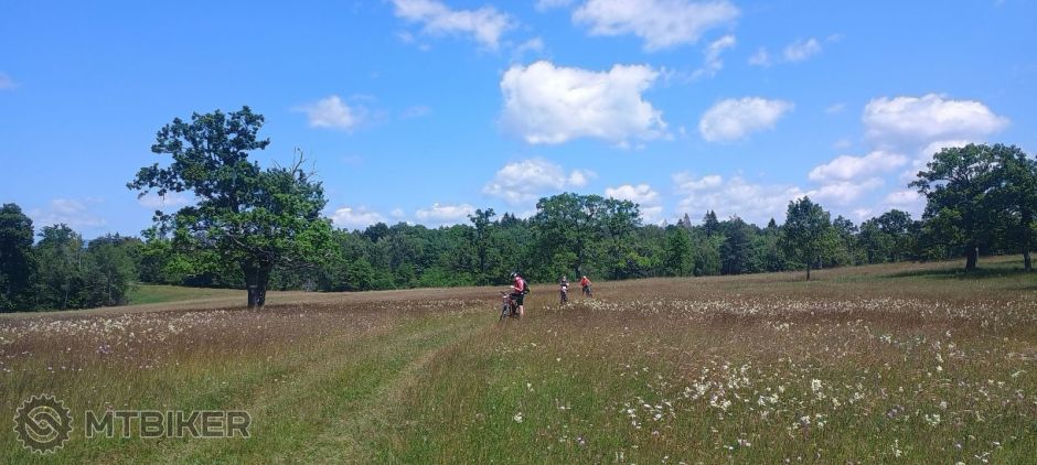 ako v ovocnom sade.jpg