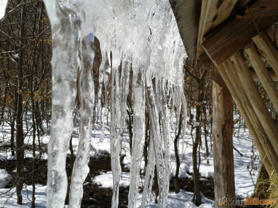 2013-03-24 13.20.25.jpg