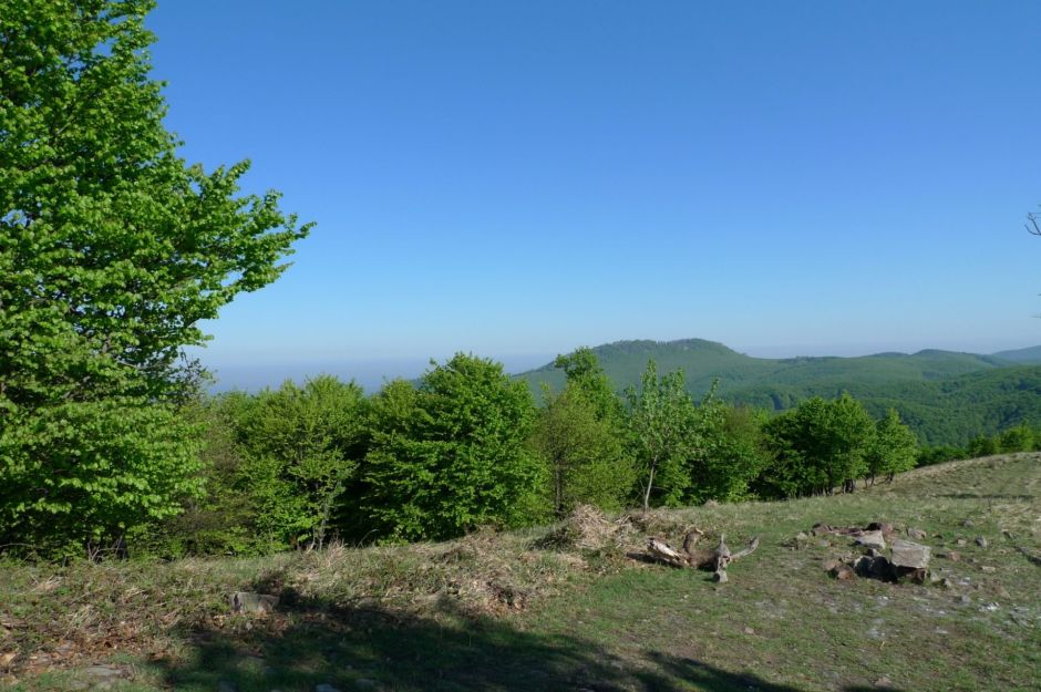 Copy of P1010039.JPG