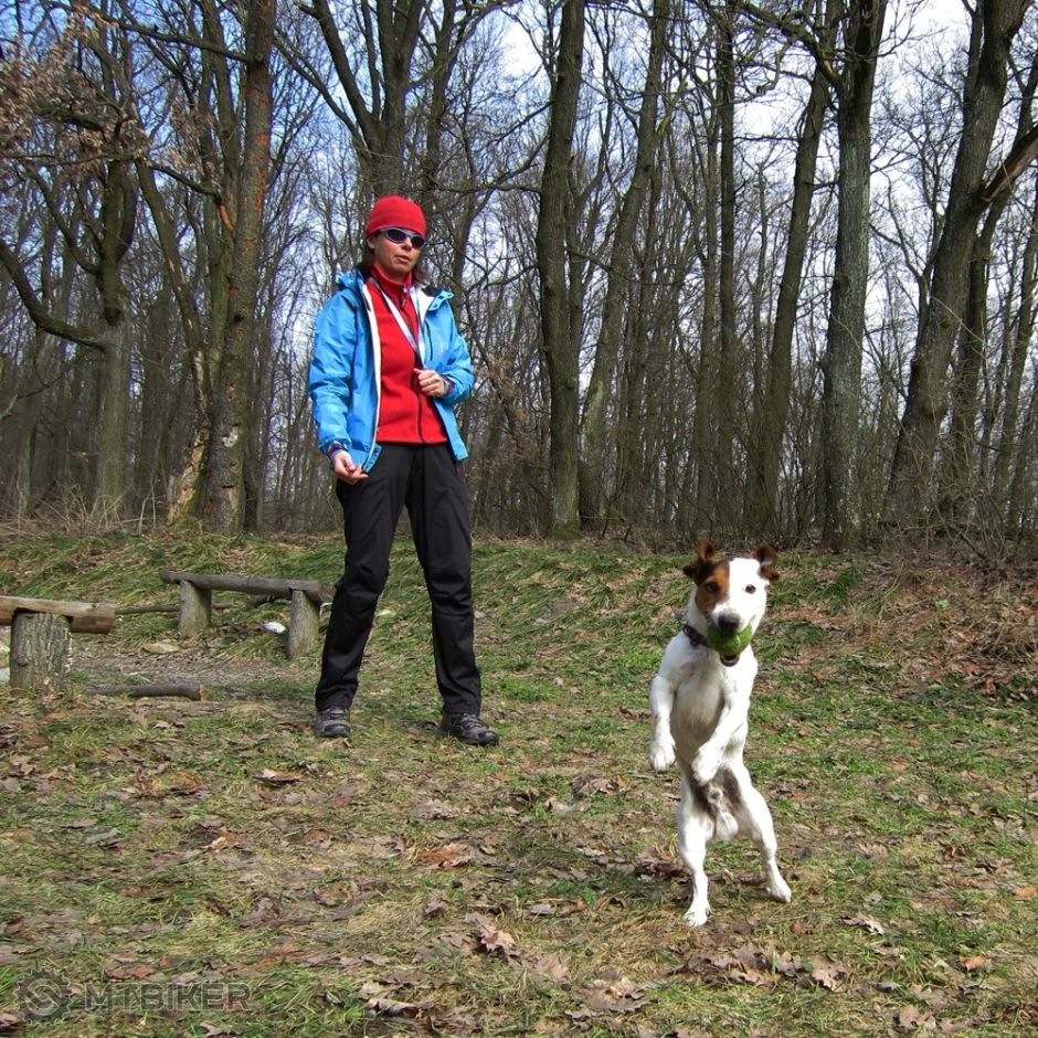 IMG_2571 – kopie.JPG