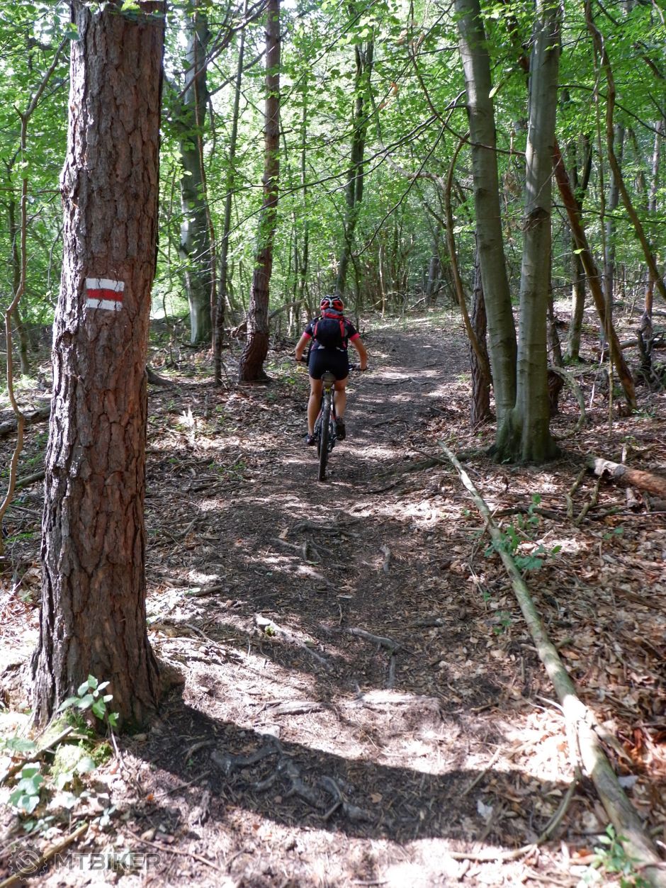 20190825_12-26-16_1-200 sec at f - 3,5_ISO 800_24 mm_KYKL3714.jpg