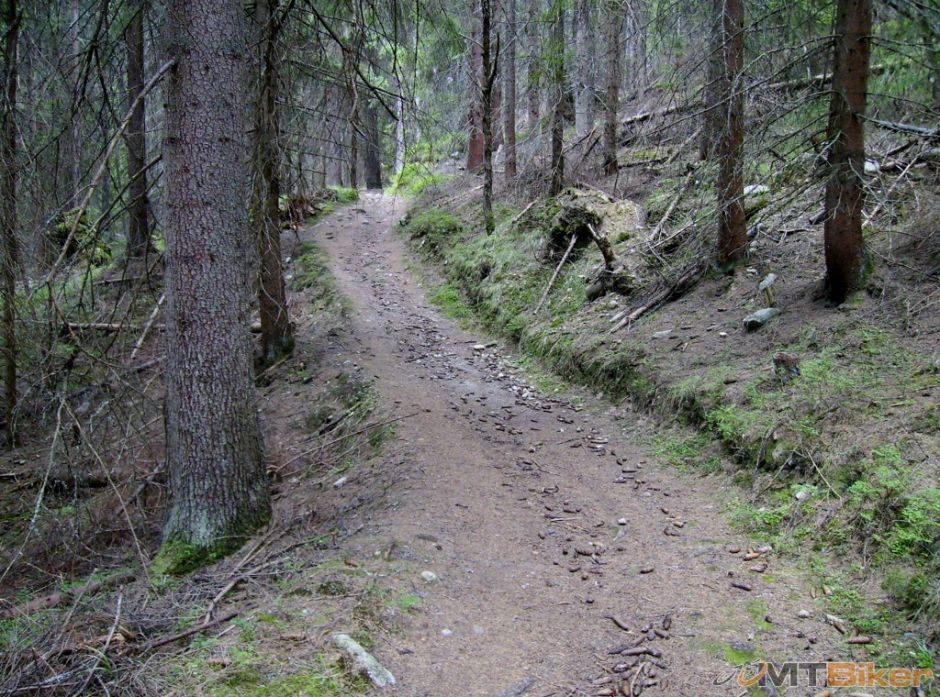 P8240006 (1024x760).jpg