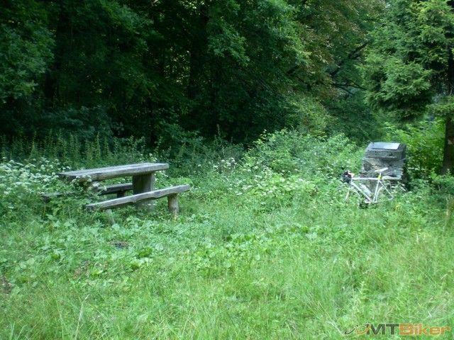 17.nikde nikto....jpg