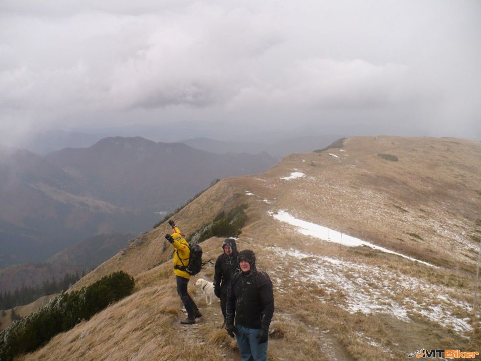 P1020372 [1600x1200].JPG