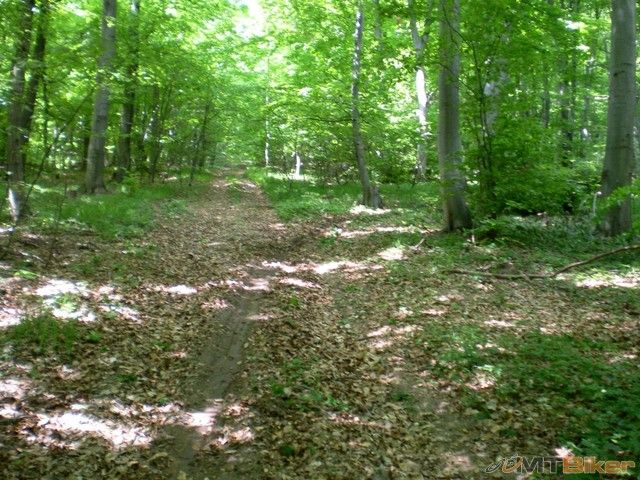 stale len hore a hore....jpg