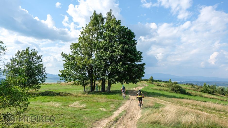 20210814_16-13-55_1-680s_F5,6_ISO 200_24_1208.jpg