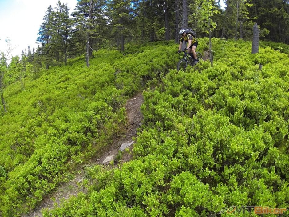 mtbiker7.jpg