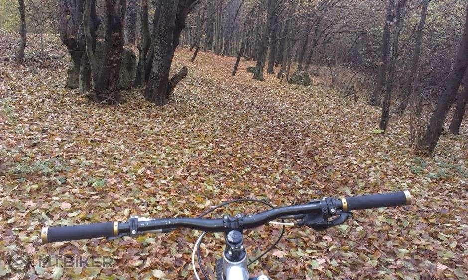 2015-11-08 14.52.07.jpg