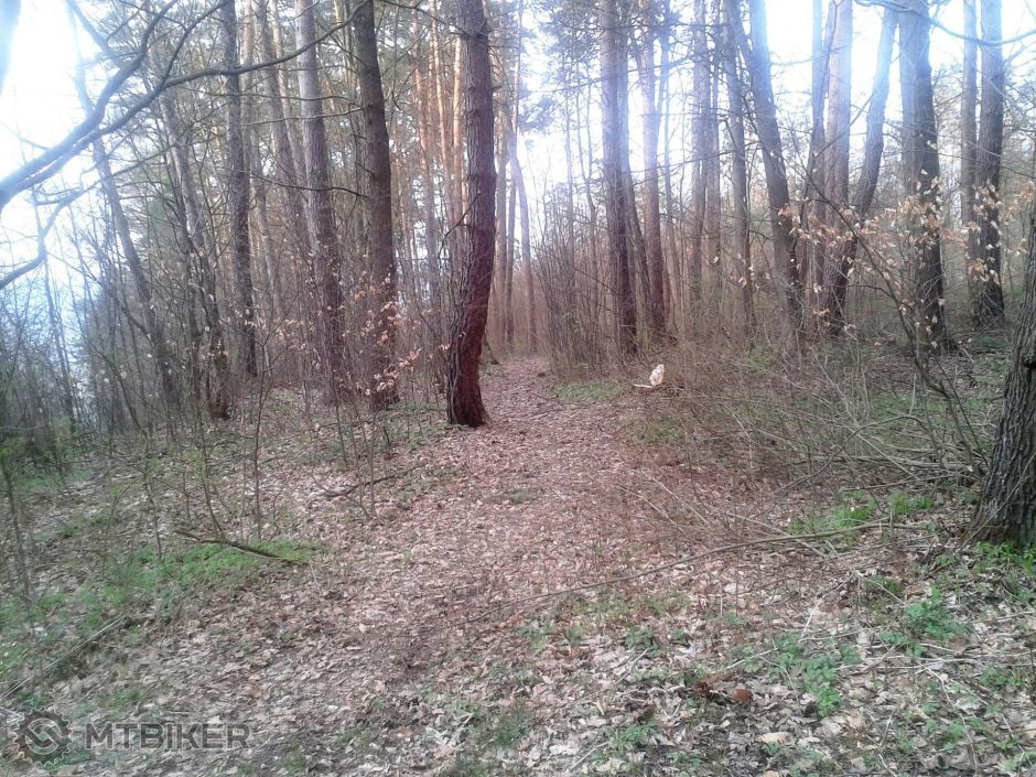 2014-04-01 17.48.40.jpg