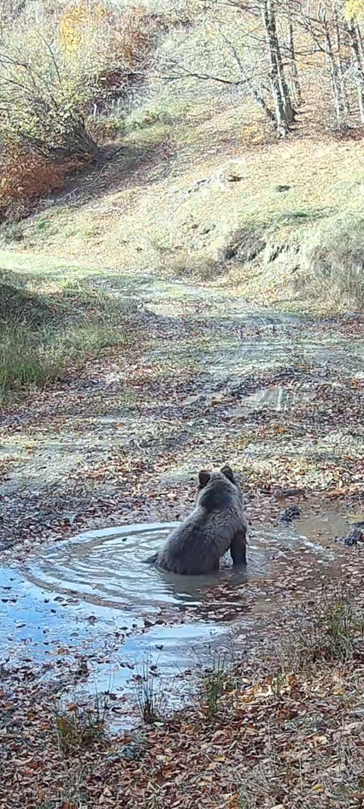 Screenshot_20251102_171431_Video Player.jpg