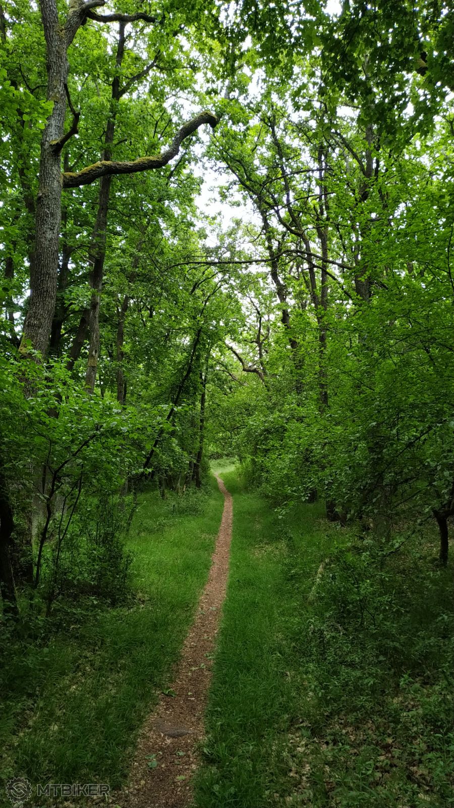 04. Sedlo Plešovica.jpg