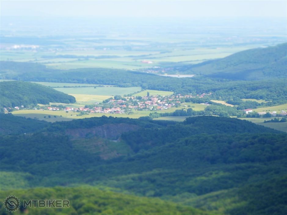 P1030435 (Large).JPG