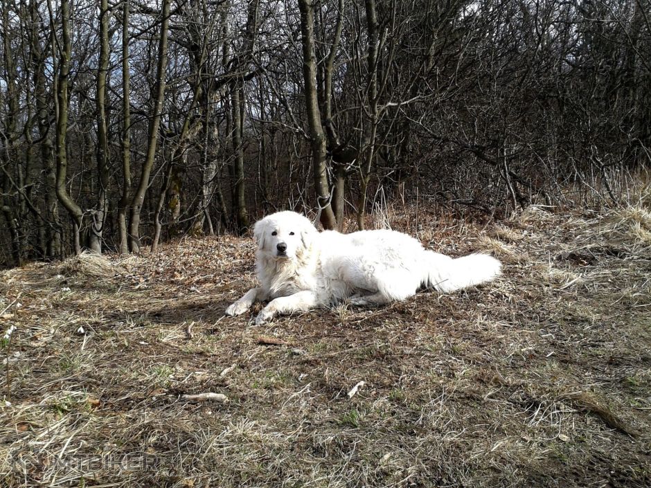 2014-03-23 14.29.45.jpg