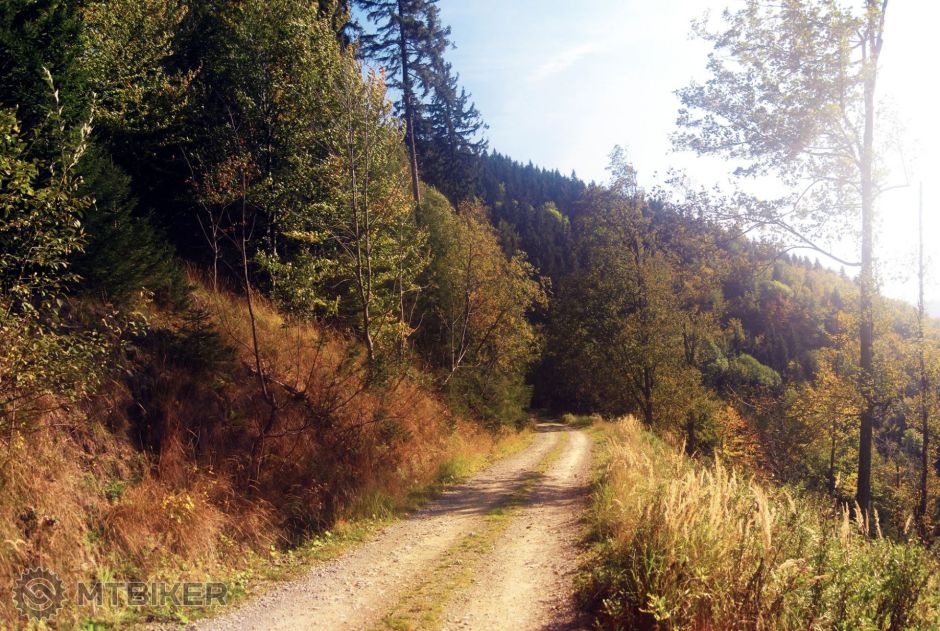 cesta na Kamenitý.jpg