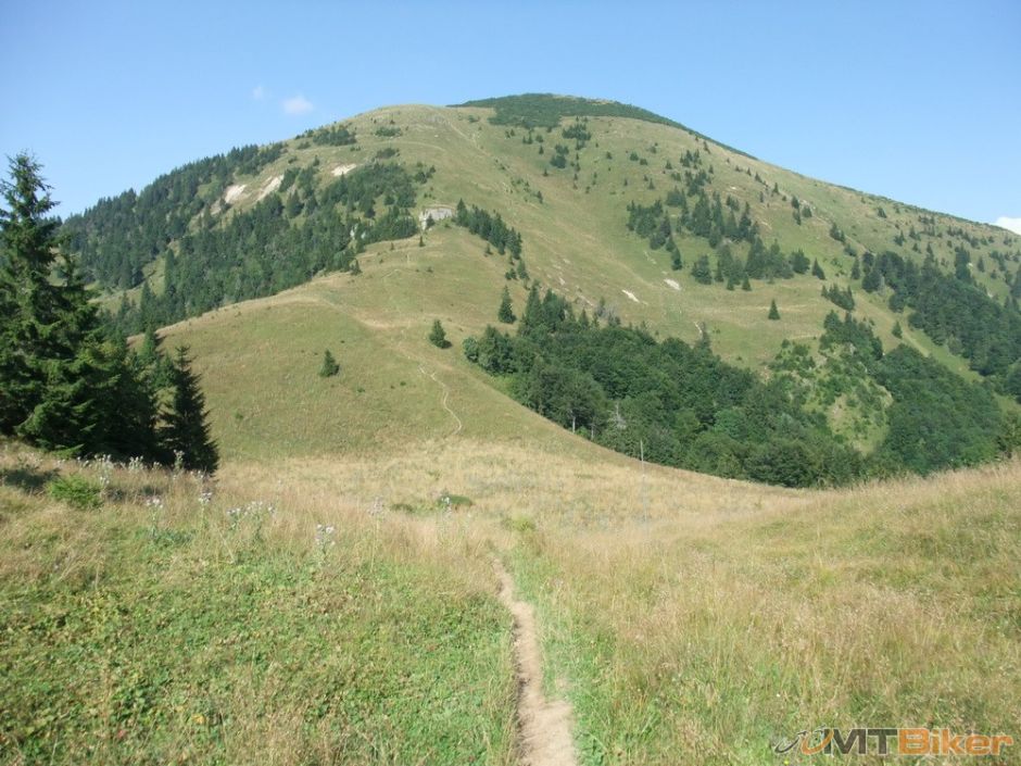 V Juznom Rakytovskom sedle.JPG