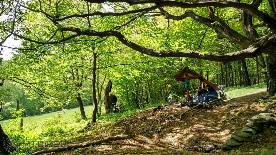 2016-05-01 07.59.58 1.jpg